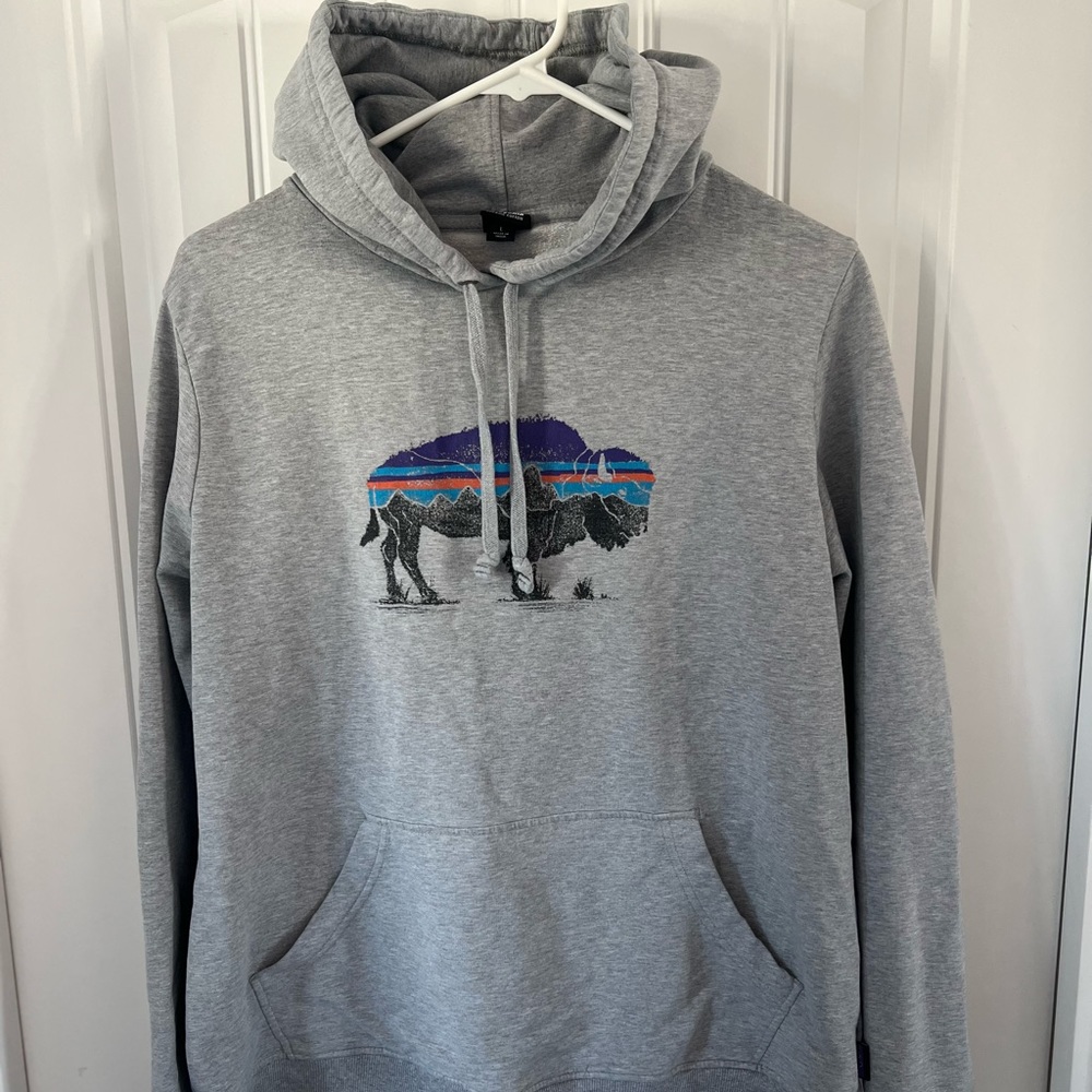 Patagonia Bison hoodie